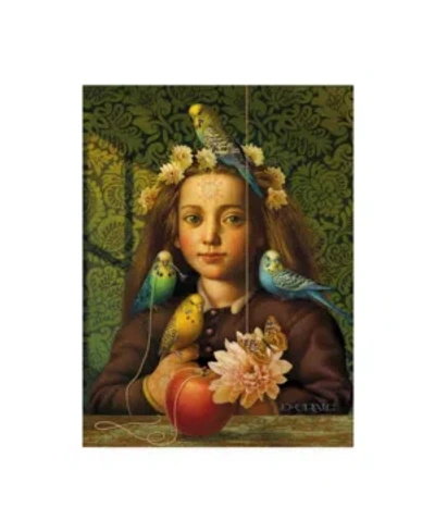 Trademark Global Dan Craig Girl With Parakeets Canvas Art In Multi