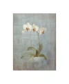 Trademark Global Danhui Nai Elegant Orchid Ii Canvas Art In Multi