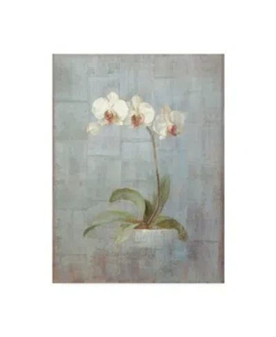 Trademark Global Danhui Nai Elegant Orchid Ii Canvas Art In Multi