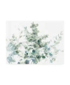 Trademark Global Danhui Nai Eucalyptus I Cool Canvas Art In Multi