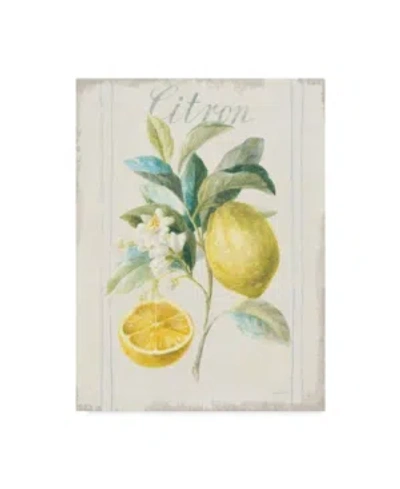 TRADEMARK GLOBAL DANHUI NAI FLOURSACK LEMON IV V2 CANVAS ART