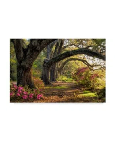 Trademark Global Danny Head Under The Live Oaks I Canvas Art In Multi