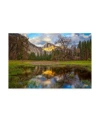 Trademark Global Dave Gordo A Mothers Tree Canvas Art In Multi