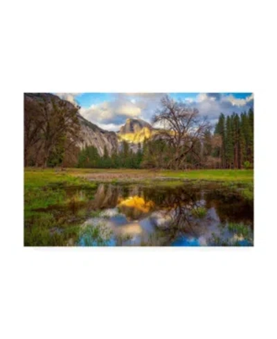 Trademark Global Dave Gordo A Mothers Tree Canvas Art In Multi