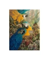 Trademark Global David Galchutt Amazon Canvas Art In Multi