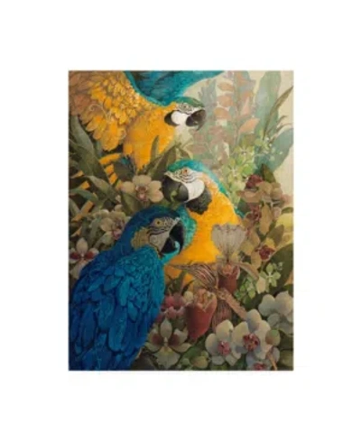 Trademark Global David Galchutt Amazon Canvas Art In Multi