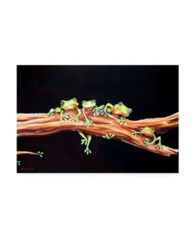 Trademark Global Deborah Broughton Frog Froggie Hood Canvas Art In Multi