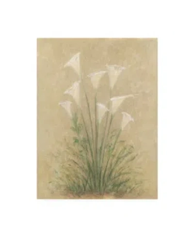 Trademark Global Debra Lake White Lilies On Parchment Canvas Art In Multi