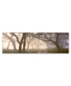 Trademark Global Doug Cavanah 'dawns Early Light' Canvas Art In Multi