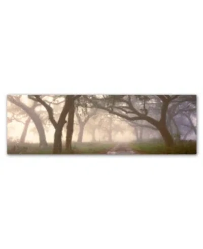 Trademark Global Doug Cavanah 'dawns Early Light' Canvas Art In Multi