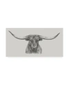 Trademark Global Ethan Harper Longhorn Bull Canvas Art In Multi