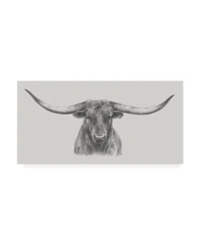 Trademark Global Ethan Harper Longhorn Bull Canvas Art In Multi