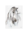 Trademark Global Ethan Harper Watercolor Equine Study I Canvas Art In Multi