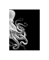 Trademark Global Fab Funky Octopus Black And White B Canvas Art In Multi