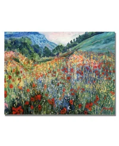 Trademark Global 'field Of Wild Flowers' Canvas Art In Multi