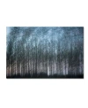 Trademark Global Geoffrey Ansel Agrons 'verschrankung' Canvas Art In Multi