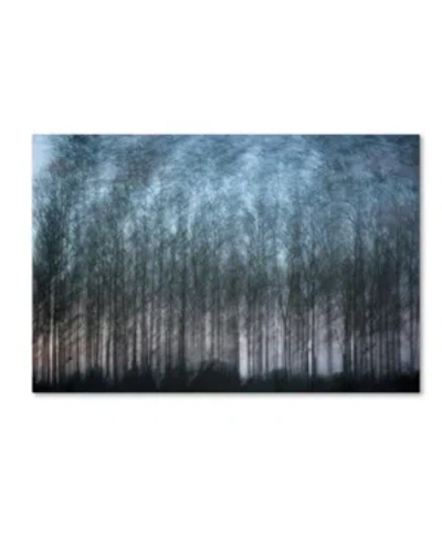 Trademark Global Geoffrey Ansel Agrons 'verschrankung' Canvas Art In Multi