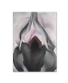 Trademark Global Georgia O'keefe 'black Iris' Canvas Art In Multi