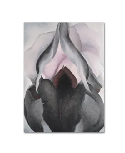 Trademark Global Georgia O'keefe 'black Iris' Canvas Art In Multi