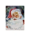 Trademark Global Hal Frenck 'santa Face' Canvas Art In Multi