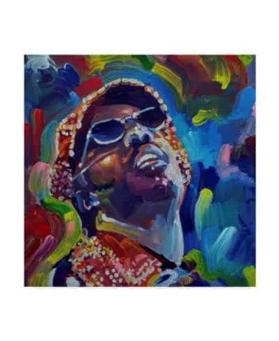 Trademark Global Howie Green 'stevie Wonder' Canvas Art In Multi
