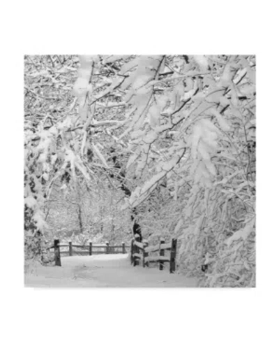 Trademark Global Incredi 'winter Wonderland White' Canvas Art In Multi
