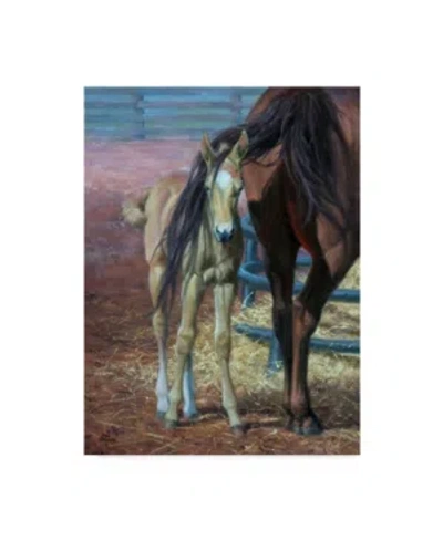 Trademark Global Jack Sorenson Horses Bad Hair Day Canvas Art In Multi