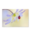 Trademark Global Jacky Parker 'anemone Lady' Canvas Art In Multi
