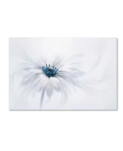 Trademark Global Jacky Parker 'serenity' Canvas Art In Multi