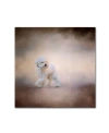 Trademark Global Jai Johnson 'bichon On The Go' Canvas Art In Multi