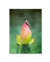 Trademark Global Jai Johnson 'hummingbird And The Lotus Flower' Canvas Art In Multi