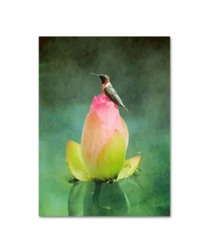 Trademark Global Jai Johnson 'hummingbird And The Lotus Flower' Canvas Art In Multi