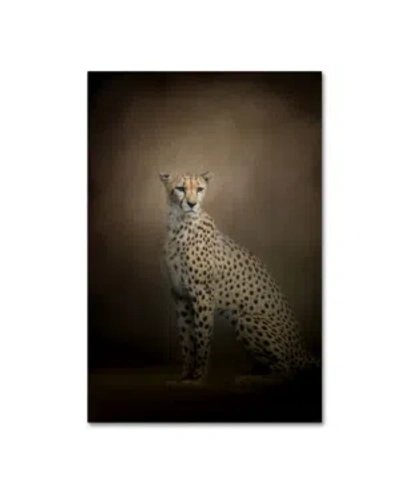 Trademark Global Jai Johnson 'the Elegant Cheetah' Canvas Art In Multi