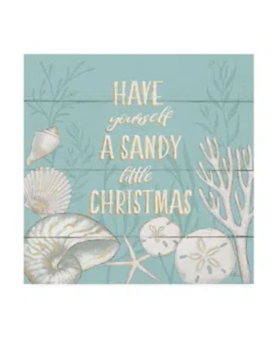 Trademark Global Janelle Penner Tranquil Morning Iii Christmas Canvas Art In Multi