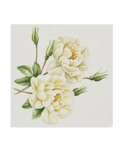 Trademark Global Janneke Brinkman-salentijn 'single Yellow Rose' Canvas Art In Multi