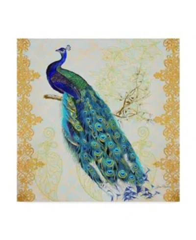 Trademark Global Jean Plout 'beautiful Peacock' Canvas Art In Multi