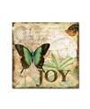 Trademark Global Jean Plout 'butterflies 4' Canvas Art In Multi