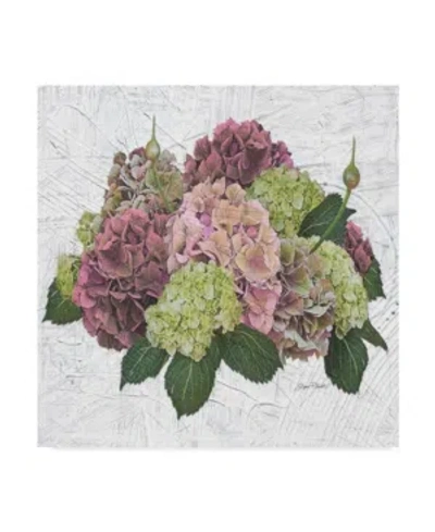 Trademark Global Jean Plout 'hydrangea Vignette Pink' Canvas Art In Multi