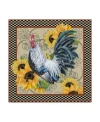 Trademark Global Jean Plout 'rooster Feathers' Canvas Art In Multi