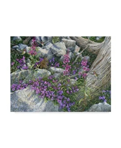 Trademark Global Jeff Tift 'squirrel Painting' Canvas Art In Multi