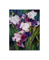 Trademark Global Joanne Porter 'wind Blown Iris' Canvas Art In Multi