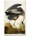 Trademark Global John James Audubon 'great Blue Heron' Canvas Art In No Color