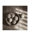 Trademark Global Judy B. Messer Baseball Nostalgia Ii Canvas Art In Multi