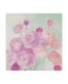 Trademark Global Julia Purinton Soft Ranunculus Canvas Art In Multi