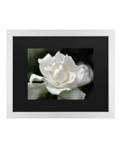 Trademark Global Kurt Shaffer Lovely Gardenia Matted Framed Art In Multi