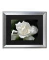 Trademark Global Kurt Shaffer Lovely Gardenia Matted Framed Art In Multi