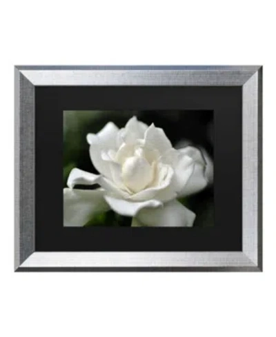 Trademark Global Kurt Shaffer Lovely Gardenia Matted Framed Art In Multi