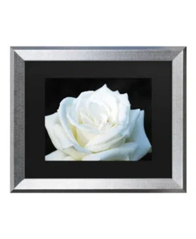 Trademark Global Kurt Shaffer White Rose Ii Matted Framed Art In Multi