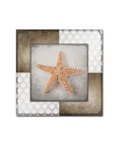 Trademark Global Lightbox Journal 'vintage Nautical Star' Canvas Art In Multi