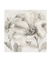 Trademark Global Lisa Audit Indigold Iv Gray Canvas Art In Multi